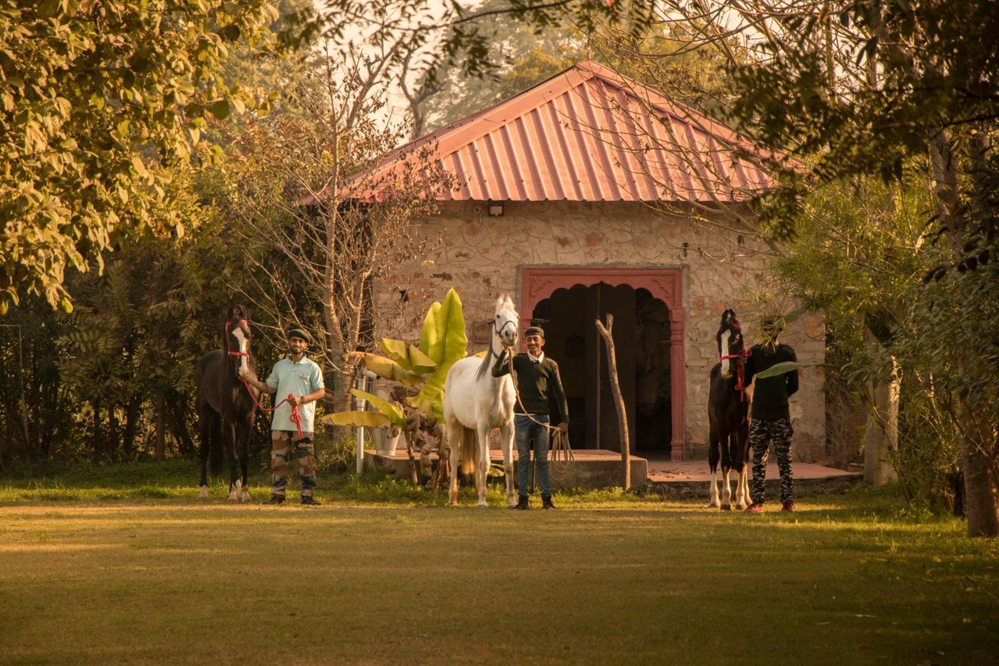 Maa Ashapura Resort Sawai Madhopur Dış mekan fotoğraf